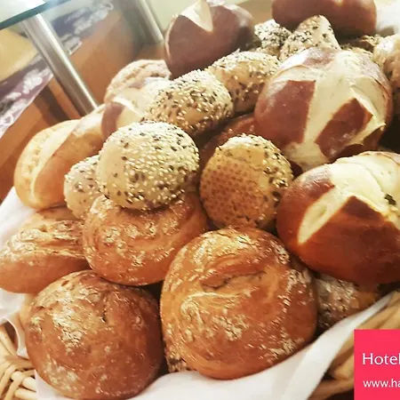 ريسيدينس فندق هاناو الماين